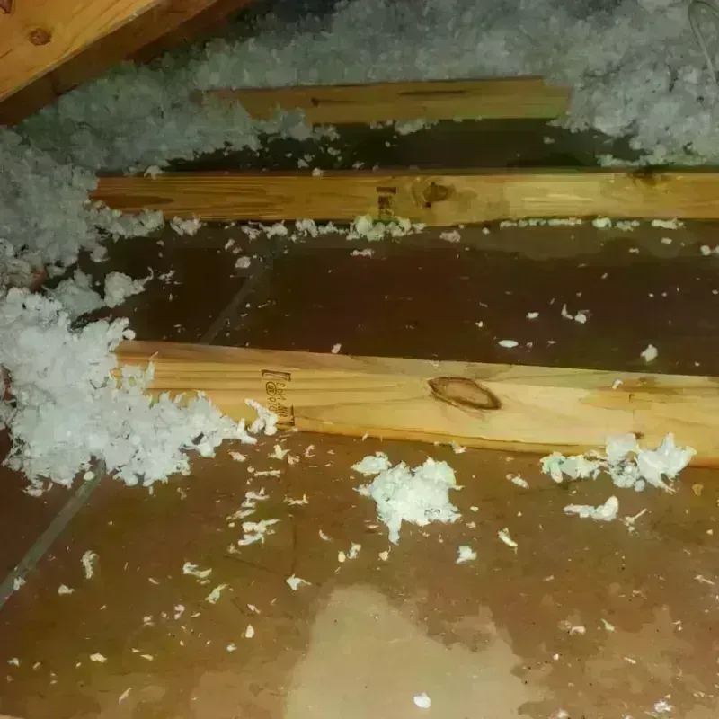 Attic Water Damage in Tompkinsville, KY